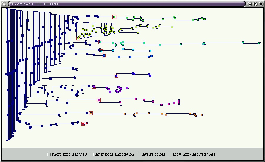 screenshot showing 
SYSTERS subtree tree with some subtrees marked in different colors.